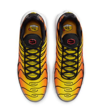 Nike Air Max Plus Men's Shoes